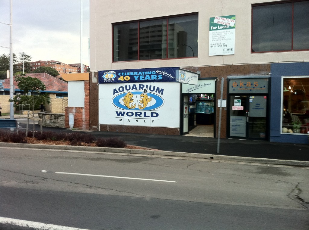 Aquarium World