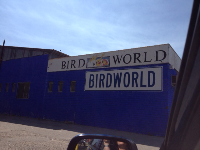 Bird World