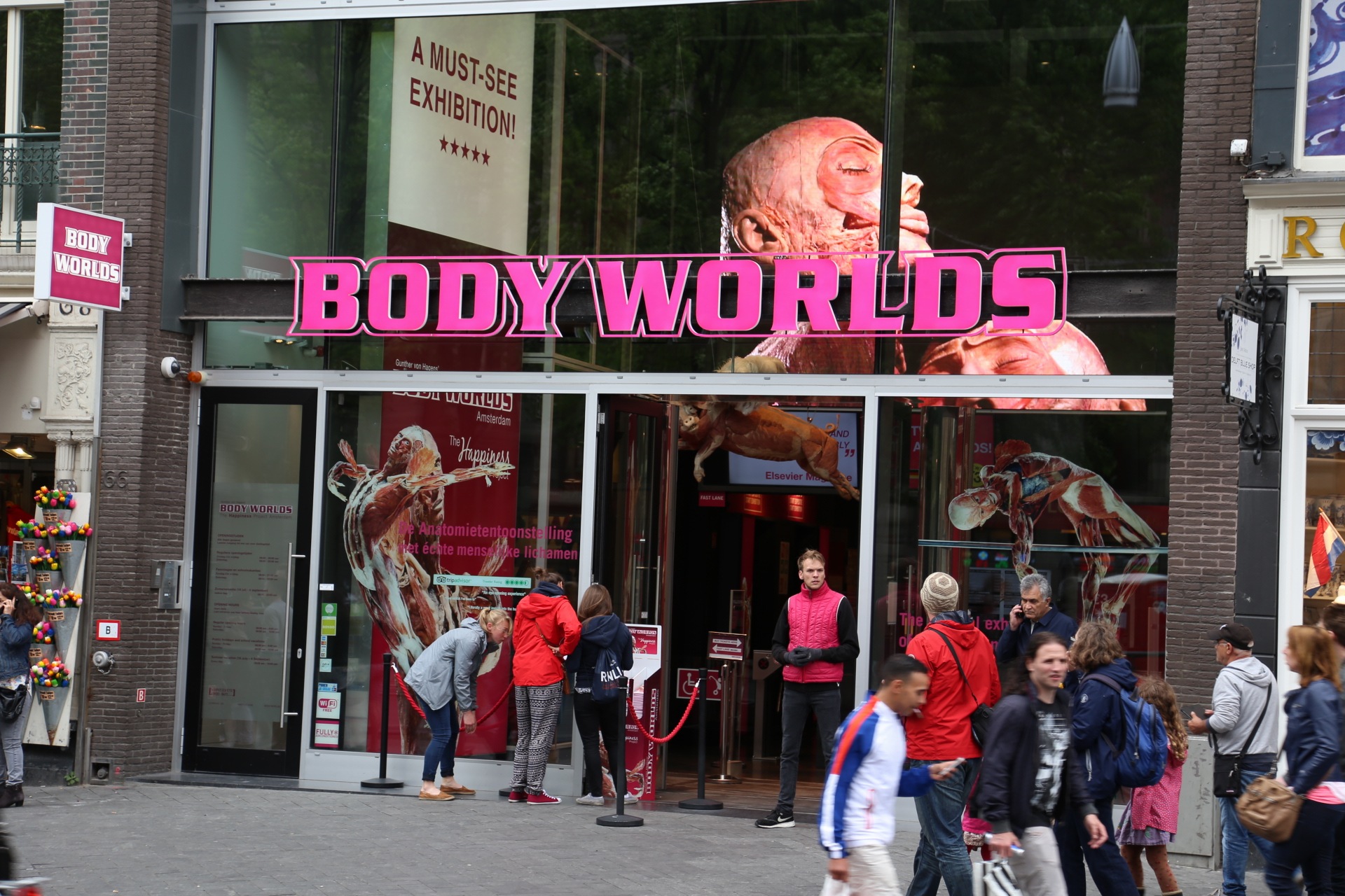 Body Worlds