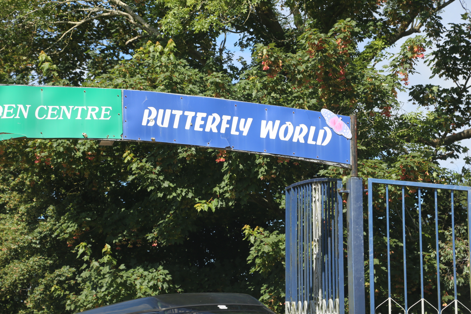 Butterfly World