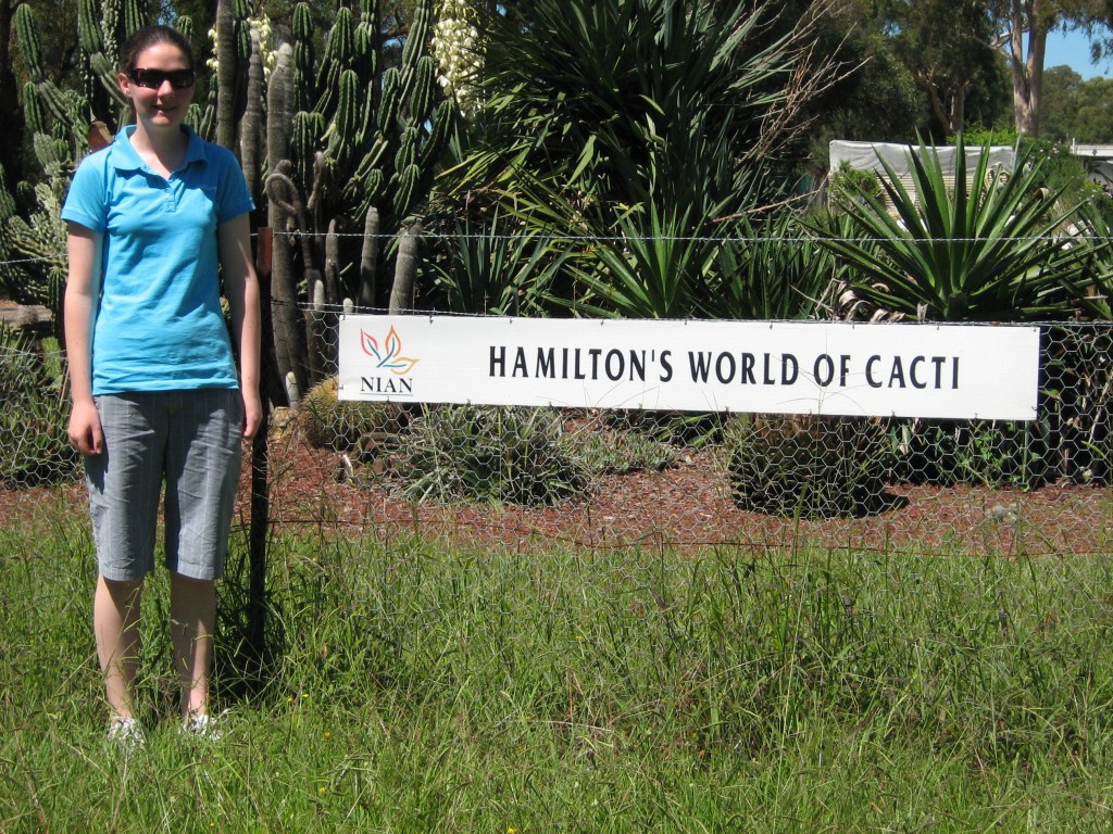 Hamilton's World of Cacti