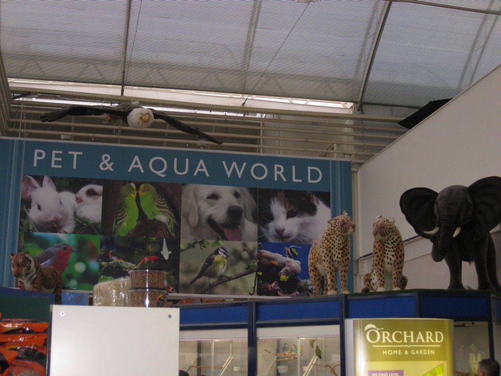 Pet and Aqua World