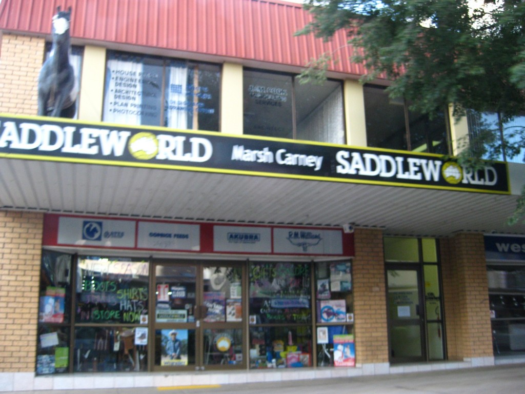 Saddle World