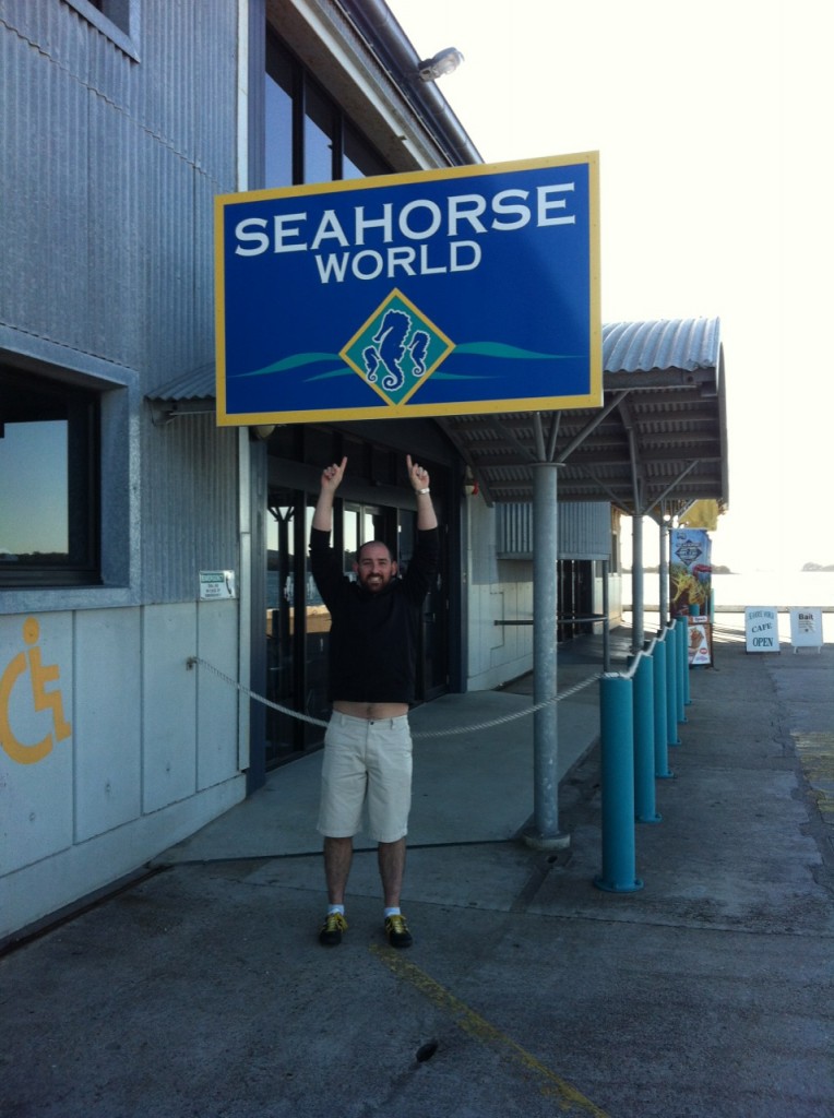 Seahorse World