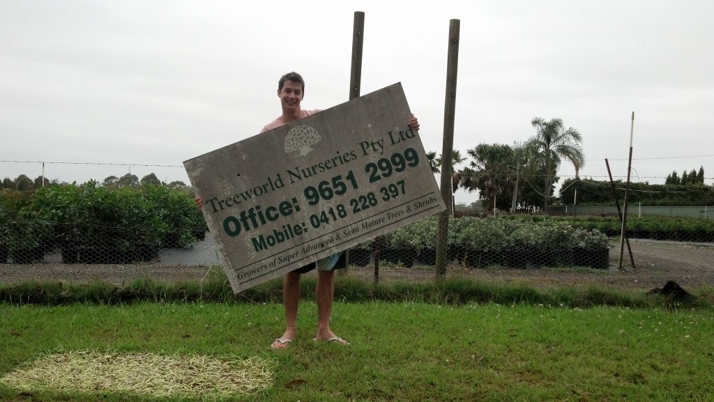 Tree World Wholesale Nurseries