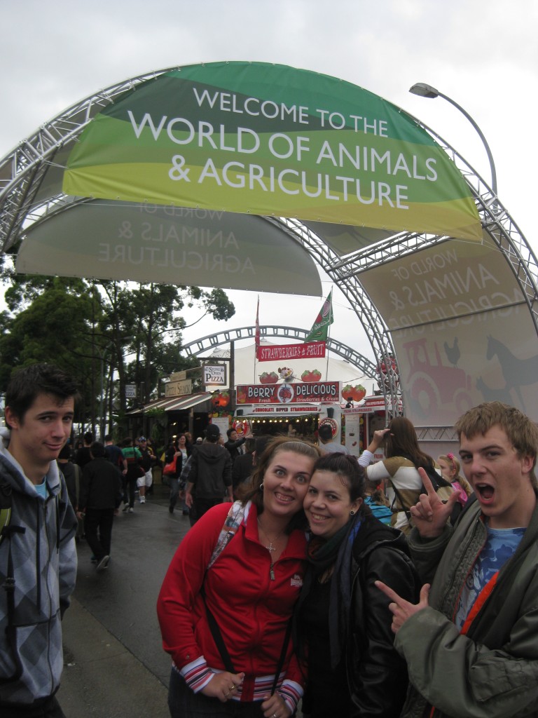 World of Animals and Agriculture